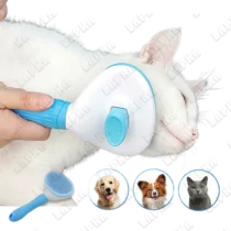 Pufferfish-25-2 Pufferfish-25-2