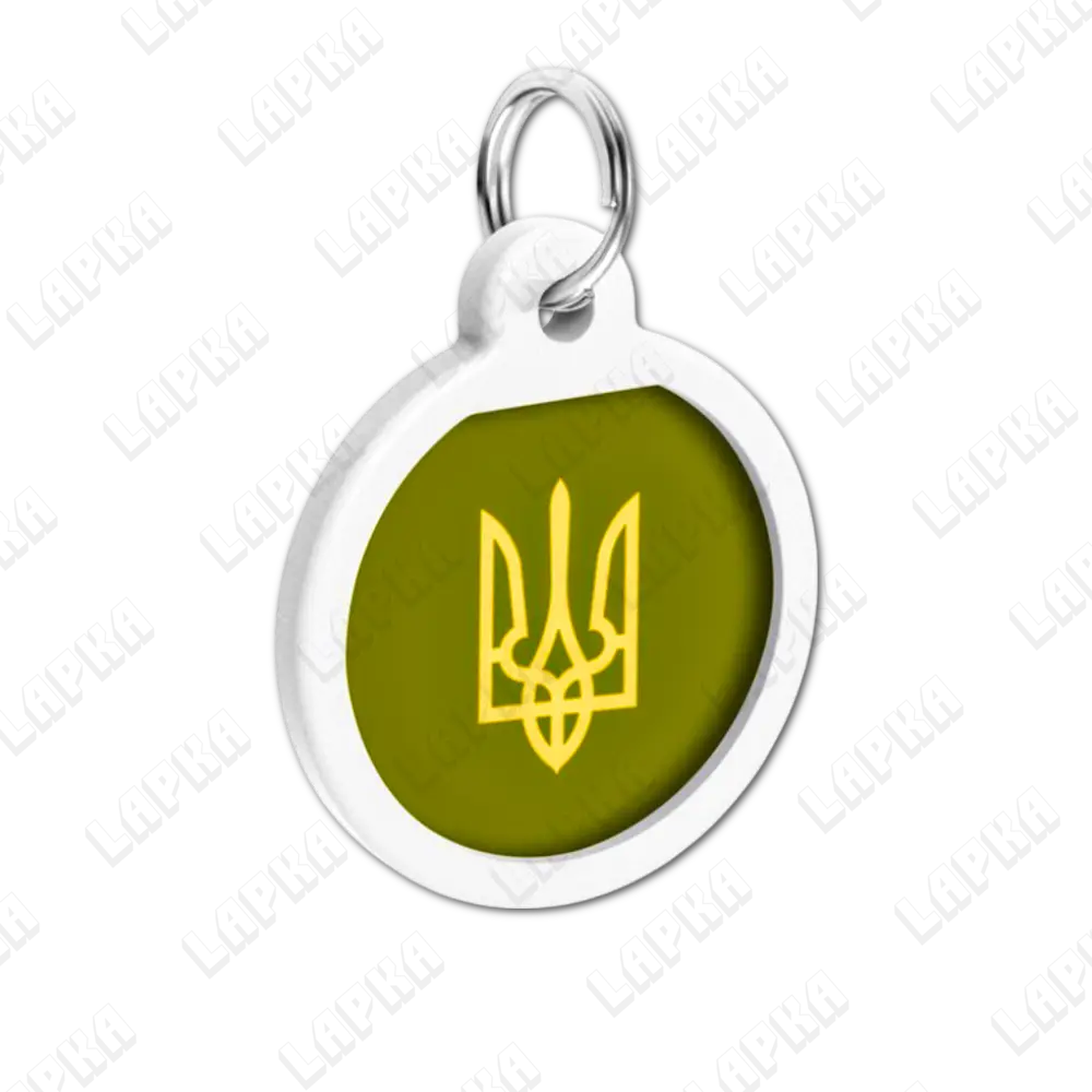 WAUDOG Smart ID QR Tryzub 25 мм коло | Тризуб 2 WAUDOG Smart ID QR Tryzub 25 мм коло | Тризуб - адресник з принтом для собак та котів, передній вигляд під кутом