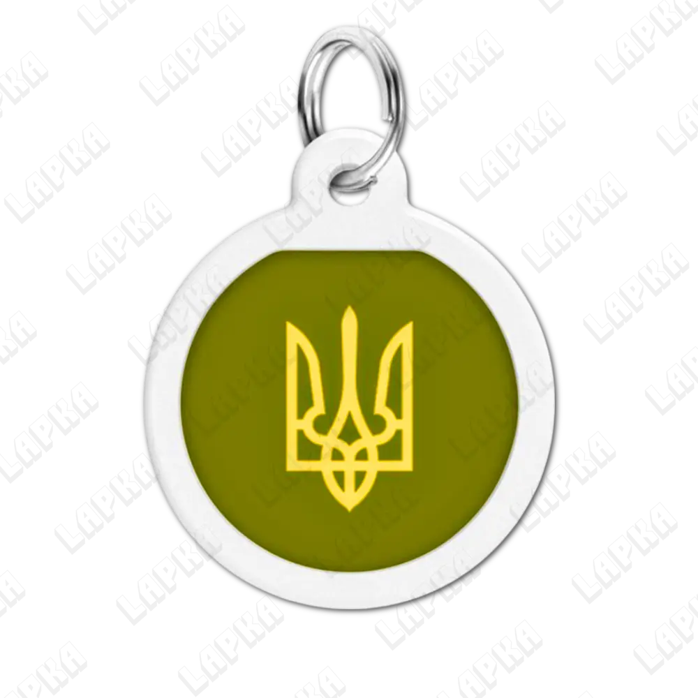 WAUDOG Smart ID QR Tryzub 25 мм коло | Тризуб 4 WAUDOG Smart ID QR Tryzub 25 мм коло | Тризуб - адресник з принтом для собак та котів, передній вигляд