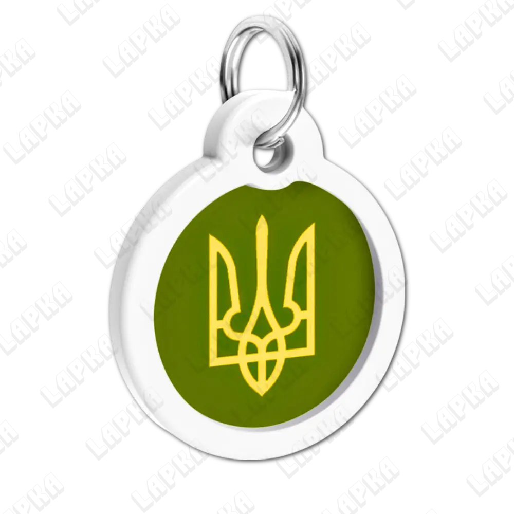 WAUDOG Smart ID QR Tryzub 30 мм коло | Тризуб 2 WAUDOG Smart ID QR Tryzub 30 мм коло | Тризуб - адресник з принтом для собак та котів, передній вигляд під кутом