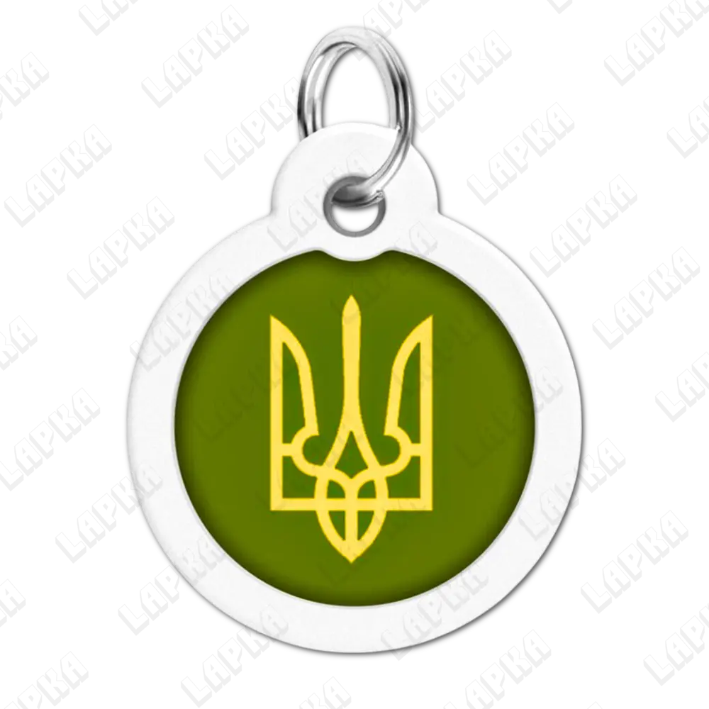 WAUDOG Smart ID QR Tryzub 30 мм коло | Тризуб 4 WAUDOG Smart ID QR Tryzub 30 мм коло | Тризуб - адресник з принтом для собак та котів, передній вигляд