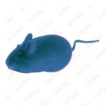 Архив/Игрушка 39-13 мышка велюровая (УЦЕНКА)