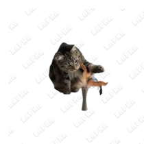 cat-toys-7-2 cat-toys-7-2