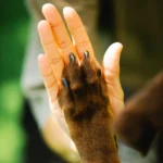 training-and-hygiene