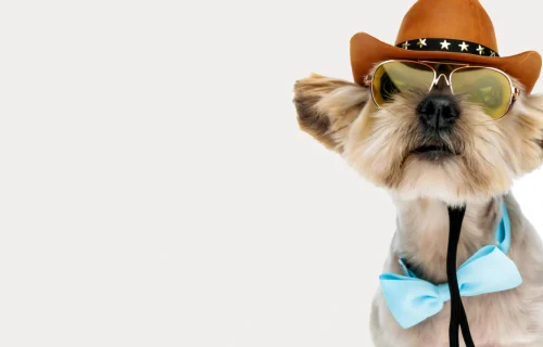 mainpage_banner1-accesoiries